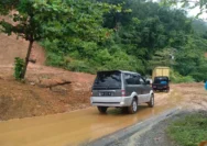 Akses Jalur Padang-Painan Kembali Normal Pasca Longsor, Pembersihan Selesai dalam 3 Jam