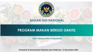 Badan Gizi Nasional Lakukan Penataan Ulang Program Makan Bergizi Gratis