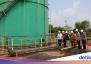 Holding Perkebunan Nusantara dan BRIN Kaji Pengembangan CBG Limbah Sawit di Riau untuk Mendukung Transisi Energi Bersih