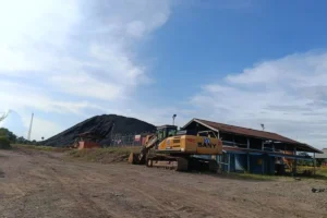PLN Hadapi Krisis: Kekurangan 20 Juta Metrik Ton Batu Bara, Kementerian ESDM Putar Otak